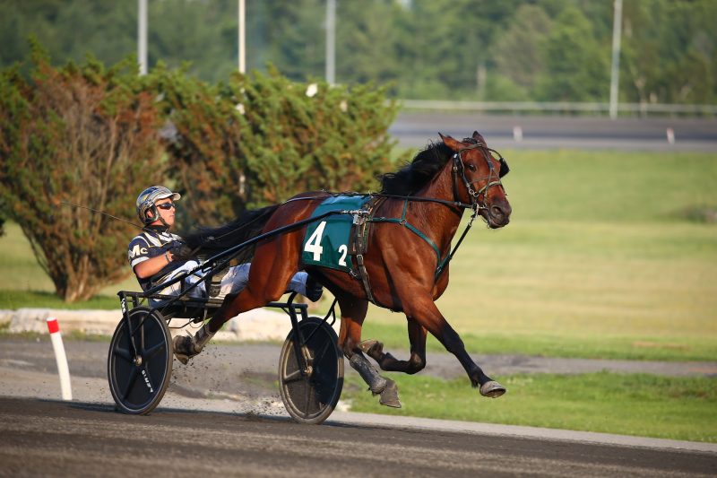 Adare Castle winning her OSS debut last July at Woodbine Mohawk Park. 