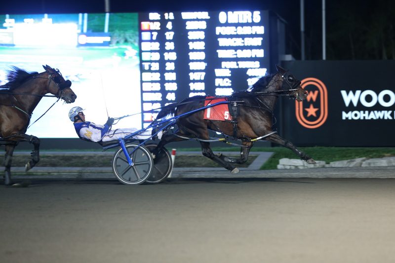 Linedrive Hanover winning on May 7 at Woodbine Mohawk Park. 