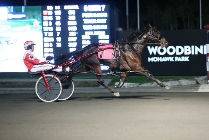 Chucky Hanover, driven by Paul MacDonell, swept the Ontario Spring Series to kick off the 2022 season at Woodbine Mohawk Park. (New Image media) 