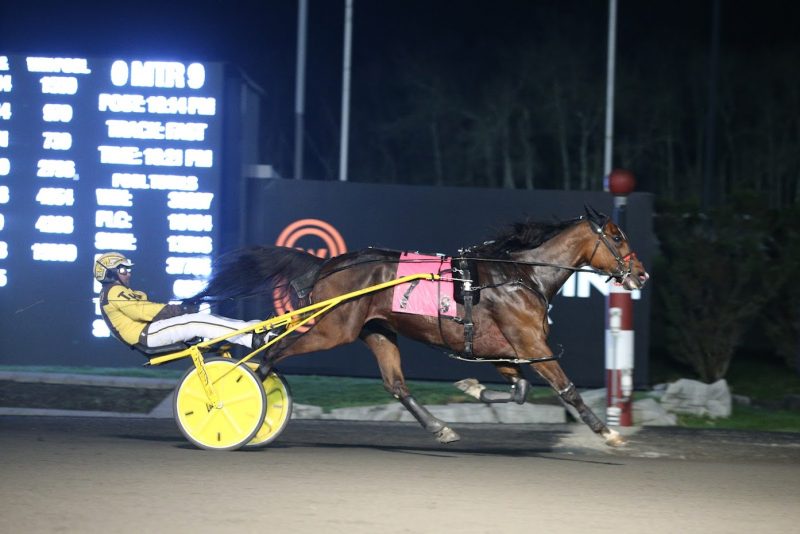 Oney Hall and Trevor Henry claim the Woodbine Mohawk Park Preferred Trot on May 2, 2022. (New Image Media)