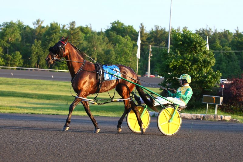 Mad Max Hanover