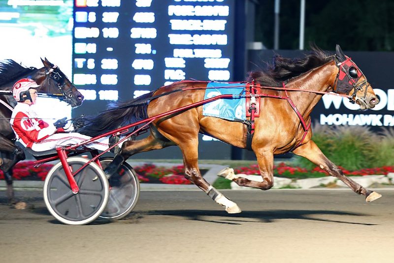 Righteous Resolve and Paul MacDonell winning an elimination of the Peaceful Way.