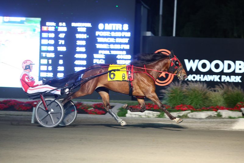 Righteous Resolve winning an OSS Gold division on August 11 at Woodbine Mohawk Park. (New Image Media)