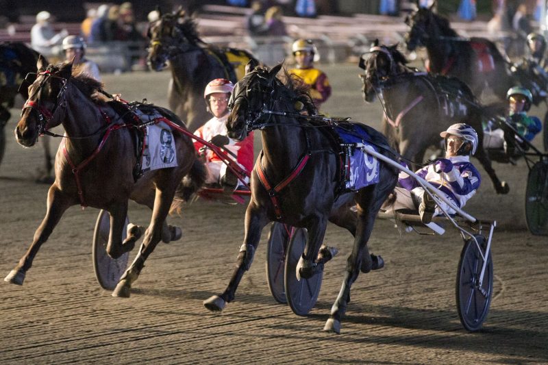 Venerable and driver Dave Miller winning the 2021 Mohawk Million (Michael Burns Photo)