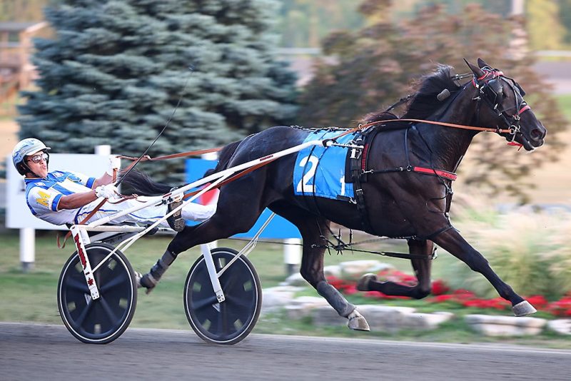 Twin B Archie and driver James MacDonald winning Simcoe Stake