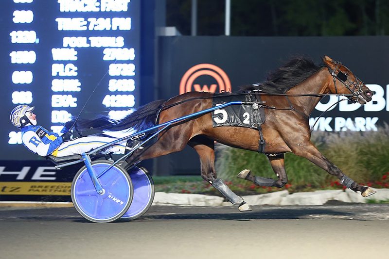 Gaines Hanover and Celebrity Bambino score in Crown eliminations