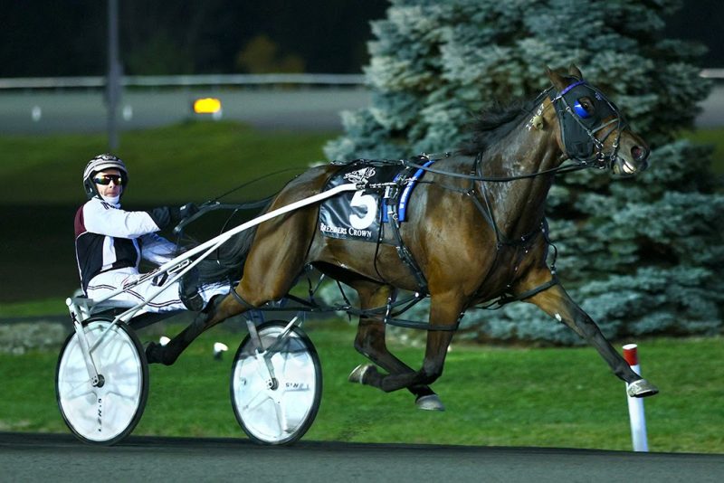 Grace Hill and driver Doug McNair winning the Open Mare Pace Breeders Crown Final (New Image Media)