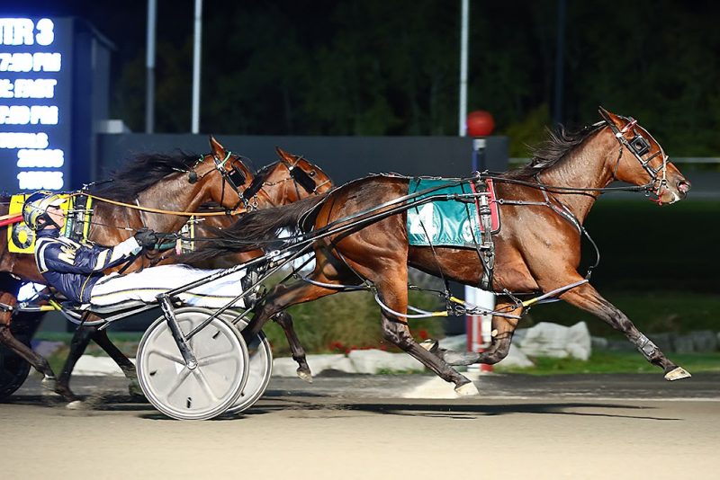 Sylvia Hanover and Charleston take Crown eliminations