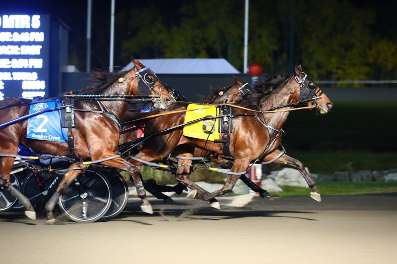 Treacherous Dragon Terrific In Exciting Crown Final