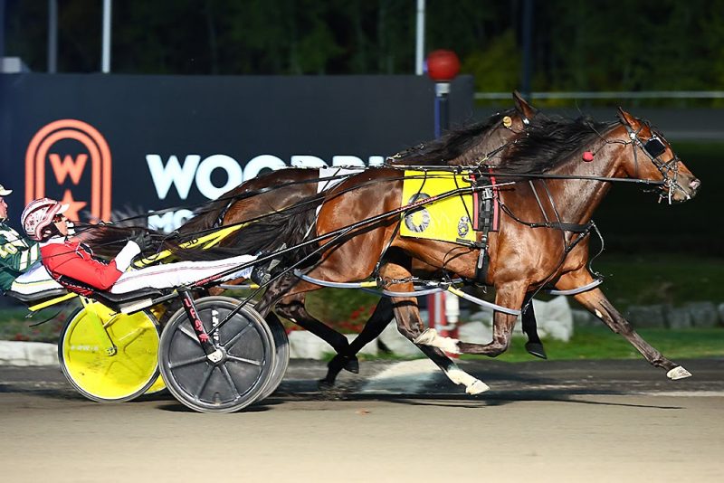 Posts drawn for several Breeders Crown finals