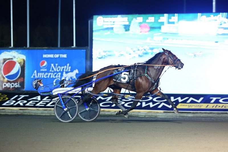 Pebble Beach and driver Todd McCarthy winning the 3 Year Old Colt Pace Breeders Crown final (New Image Media)