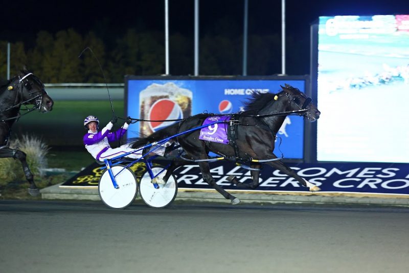 Ammo fires off Breeders Crown shocker