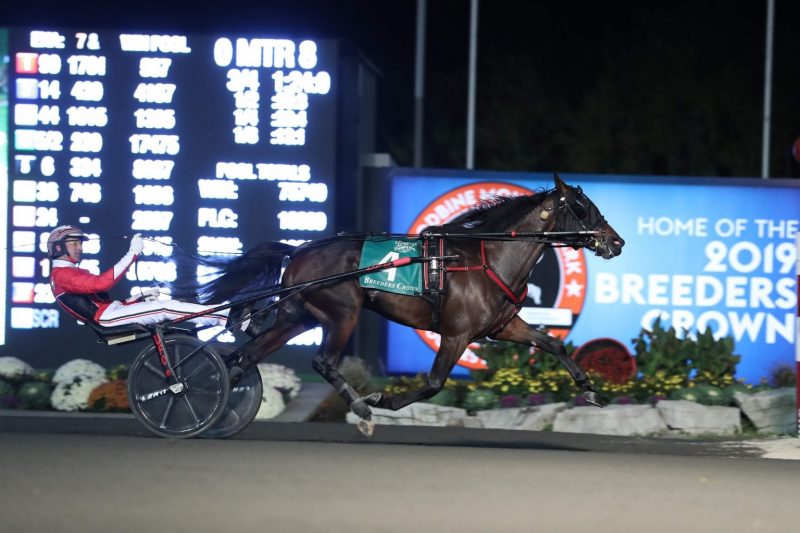 Breeders Crown: Four divisions go straight to finals