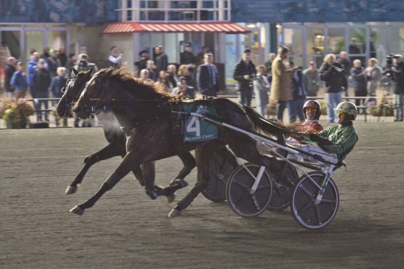 Truly A Special Filly In Record Performance