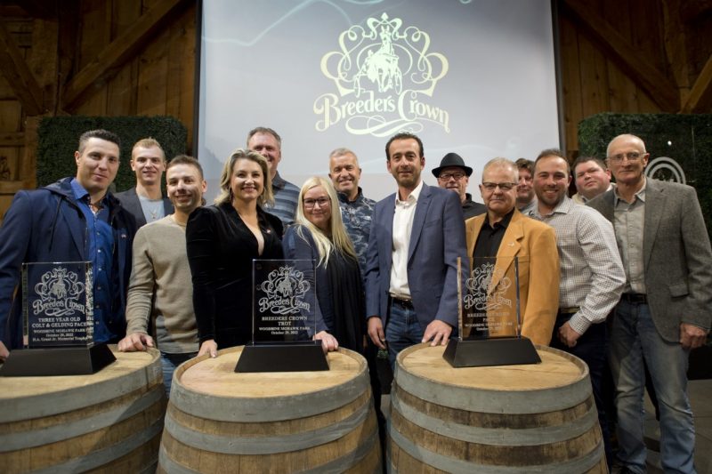 Stage set for Breeders Crown weekend at Woodbine Mohawk Park