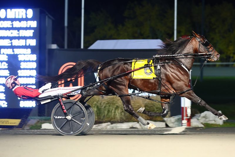 Bulldog Hanover winning the Breeders Crown on October 29. (New Image Media)