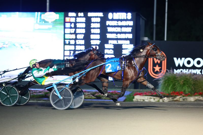 Stockade Seelster and driver Jody Jamieson winning the 2022 Metro Pace.
