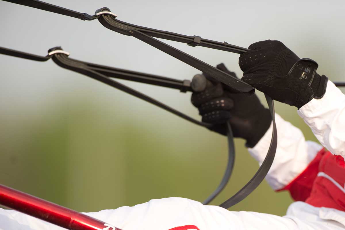driver at the Canadian Trotting Classic