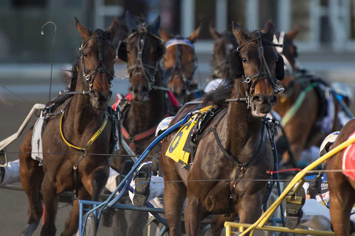 Canadian Trotting Classic race action at Woodbine Mohawk Park