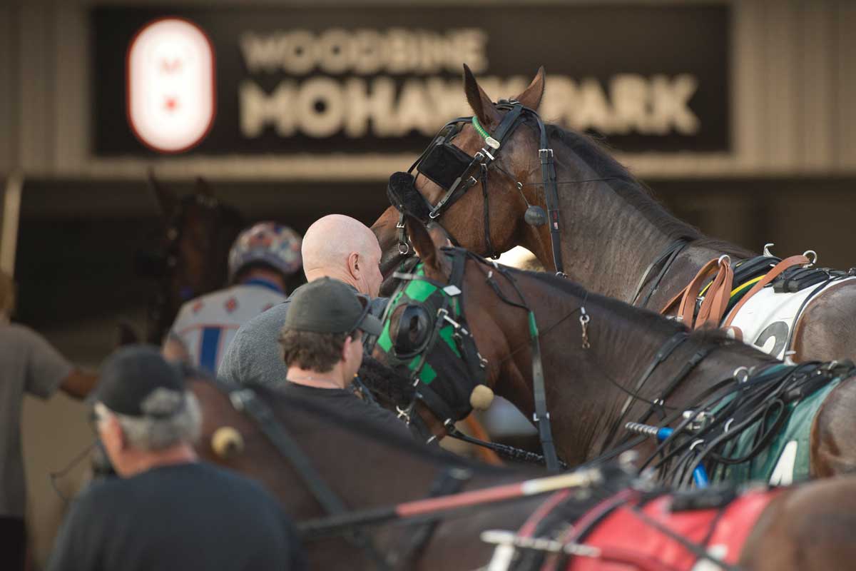 Horses at the Mohawk Million