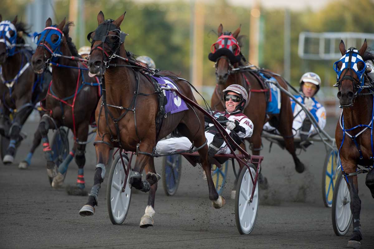 Metro Pace race action at Woodbine Mohawk Park