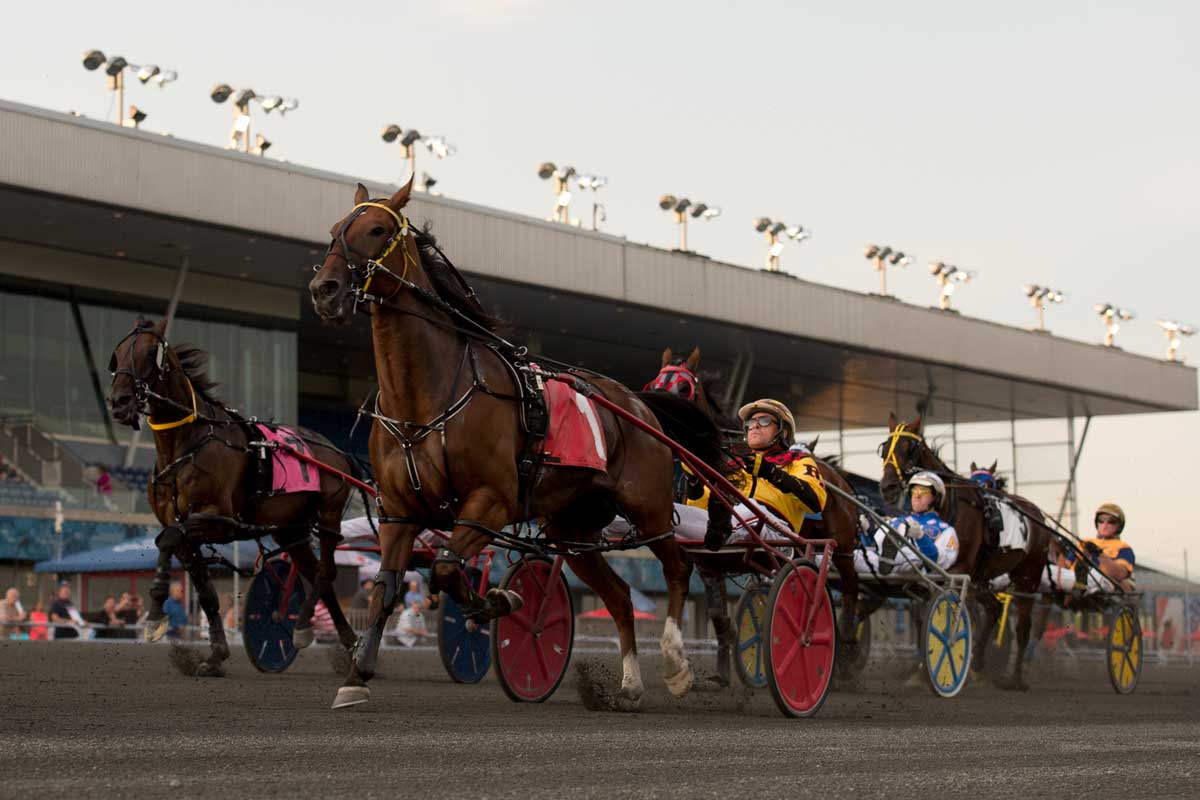 Mero Pace at Woodbine Mohawk Park