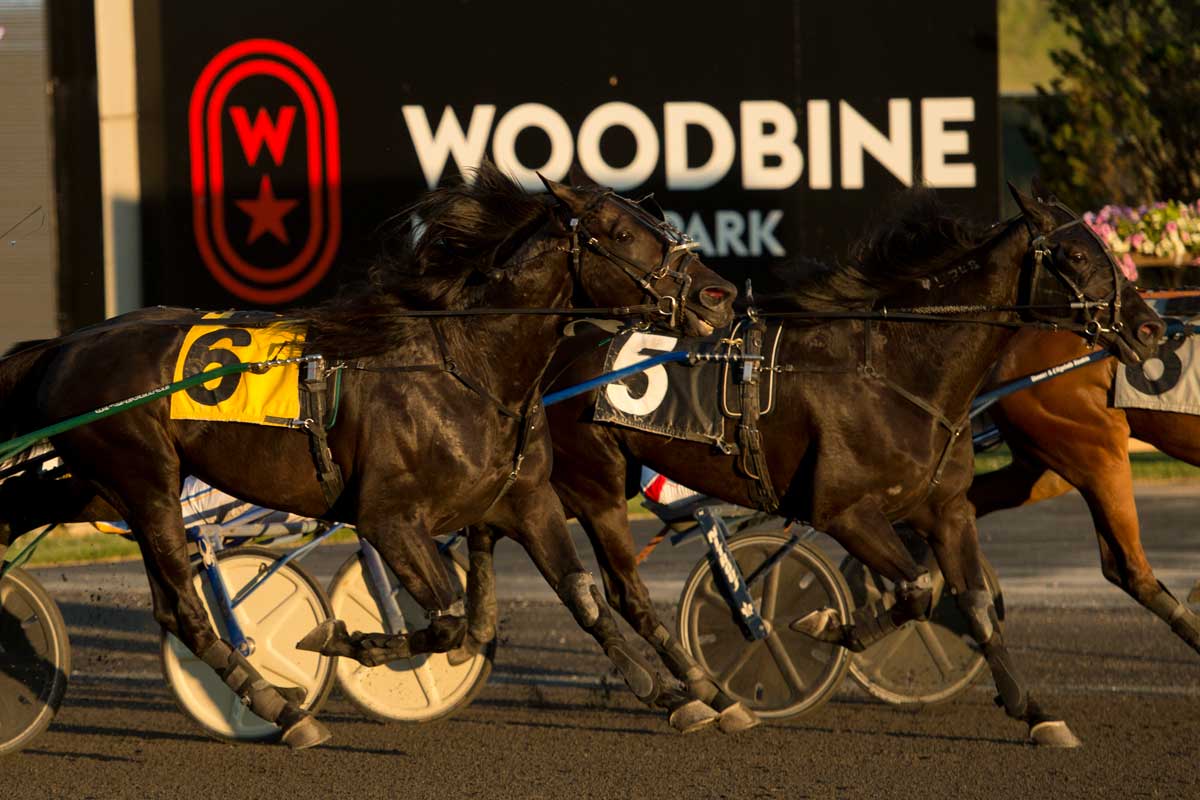 Mohawk Million finish line