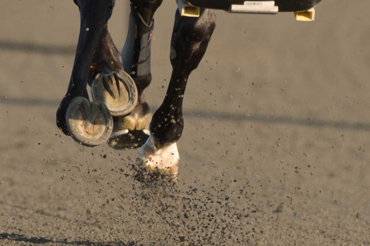 Mohawk Million Race
