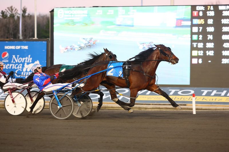 Cold Creek Queso and Sylvain Filion will look to continue their perfect start to 2023 in Saturday's Graduate final.