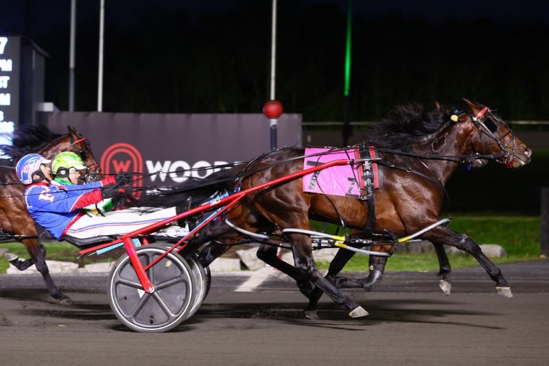 Write Me A Rose reaching up to win the SBOA Stakes on May 20.