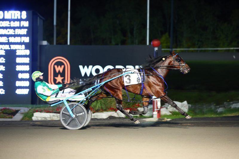 Stockade Seelster, pictured winning the OSS Super Final last October
