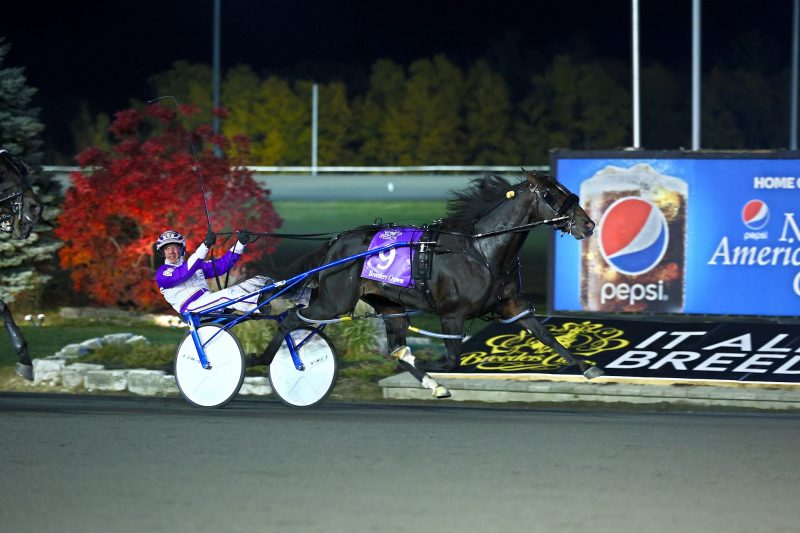 Ammo winning the 2022 Breeders Crown. 