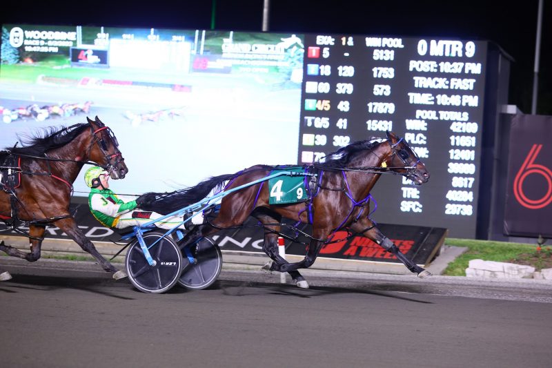 Stockade Seelster winning a division of the Somebeachsomewhere Stakes.