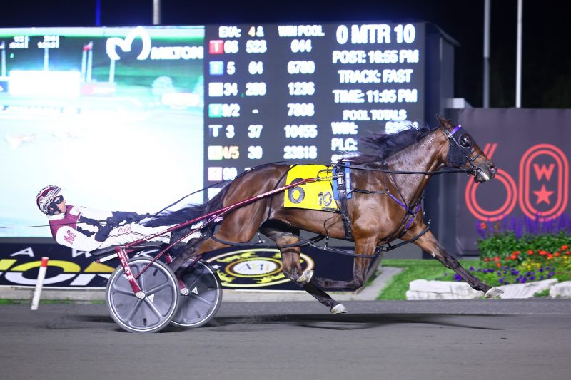 Grace Hill and driver Doug McNair winning the Milton Stakes Final.