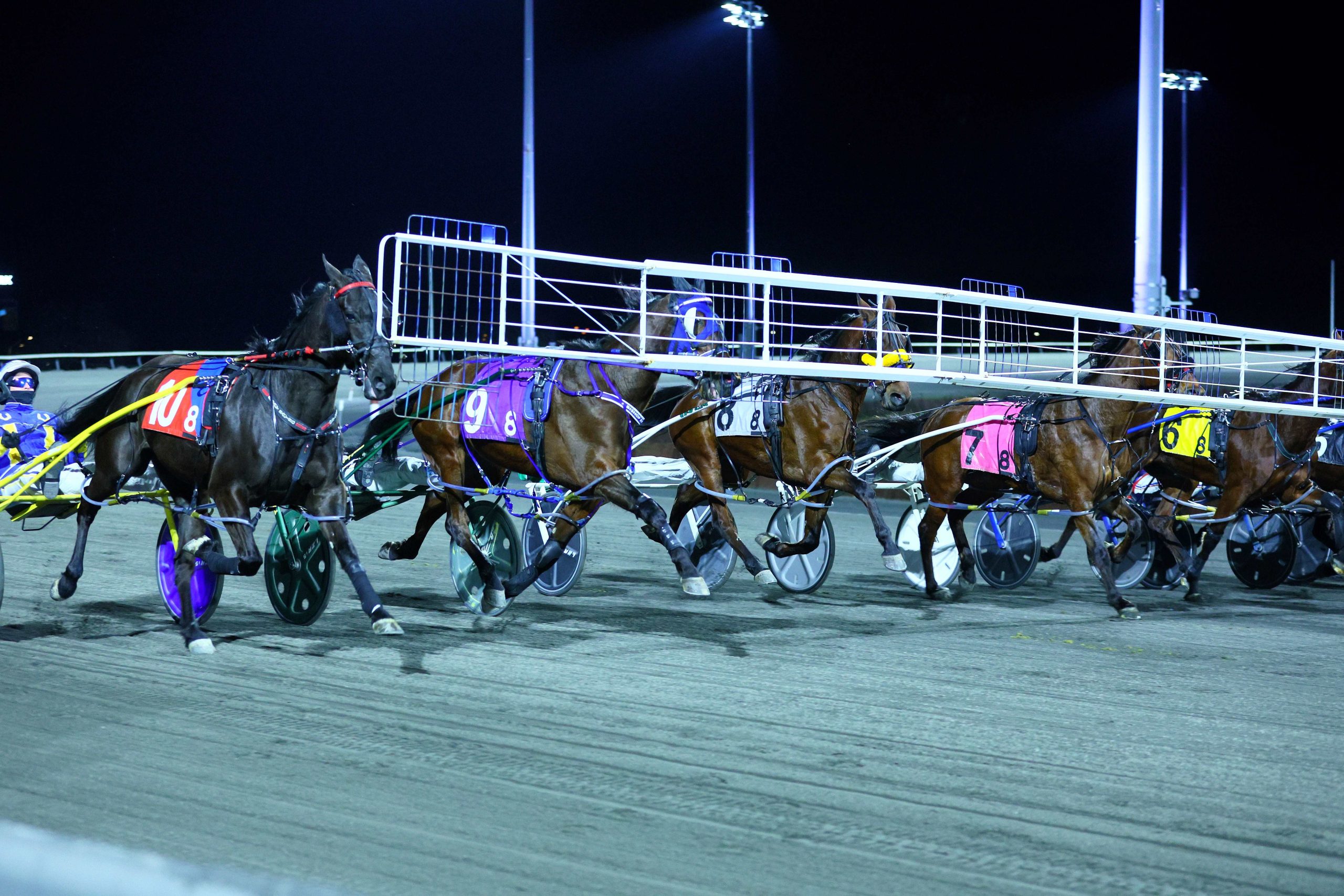 Woodbine Mohawk Park