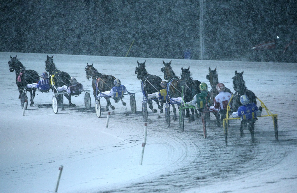 Winter Wonderland and Market at Woodbine Mohawk Park