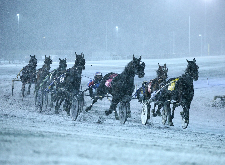 Winter Wonderland and Market at Woodbine Mohawk Park