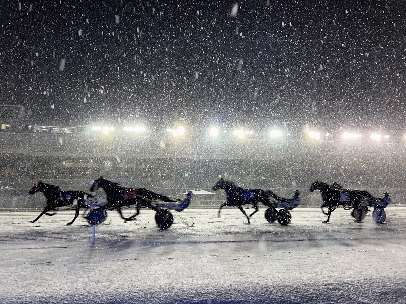 Winter Wonderland and Market at Woodbine Mohawk Park