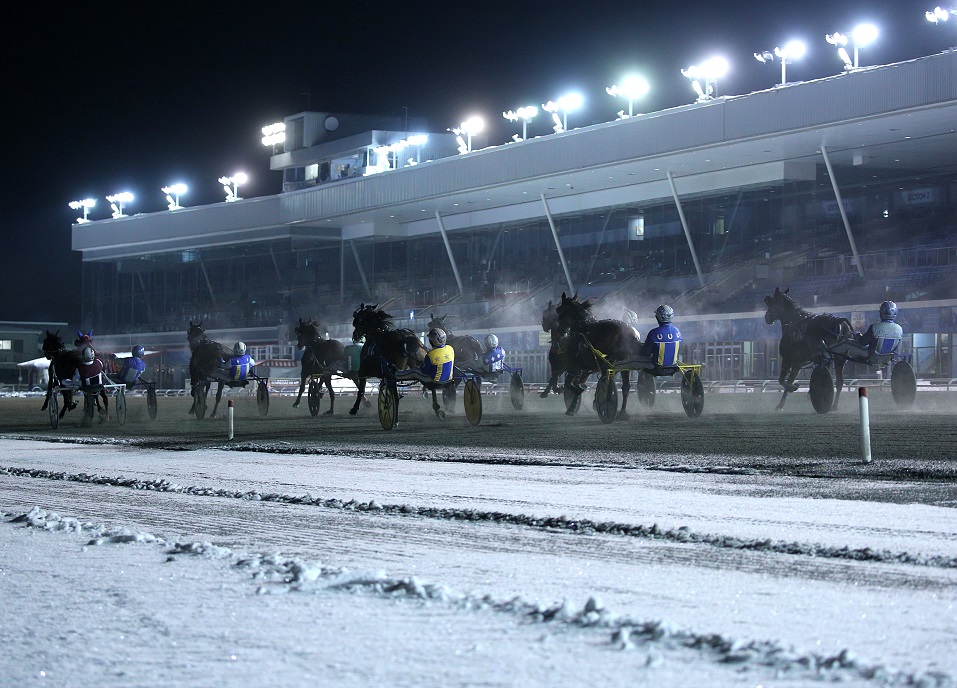 Winter Wonderland and Market at Woodbine Mohawk Park
