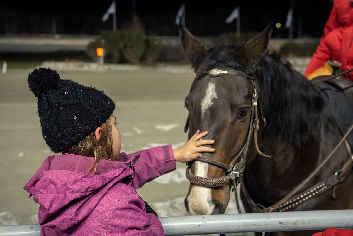 Winter Wonderland and Market at Woodbine Mohawk Park
