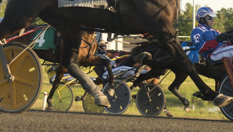 Horse and drivers at Woodbine Mohawk Park.