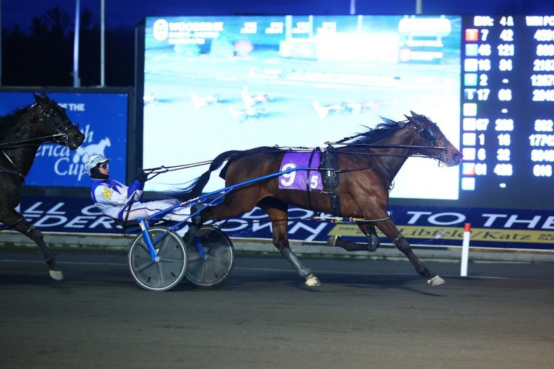 Locatelli and driver James MacDonald winning the 2023 New Holland Trotting Series Final on April 1, 2023 (New Image Media)