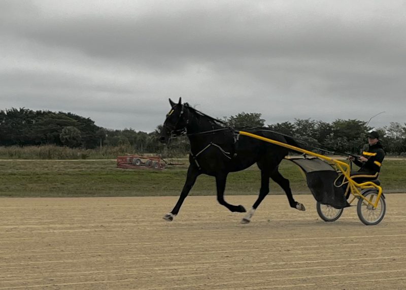 Desiree Jones and Tactical Strike