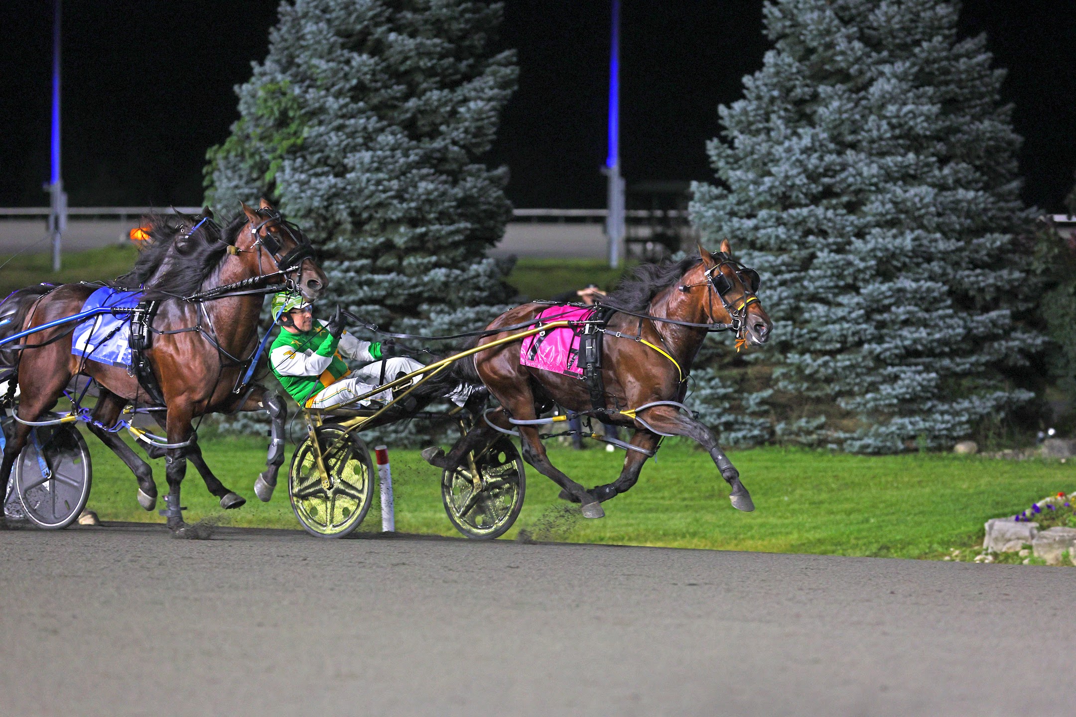 Captains Quarters and Jody Jamieson winning the 2023 Metro Pace. (New Image Media)