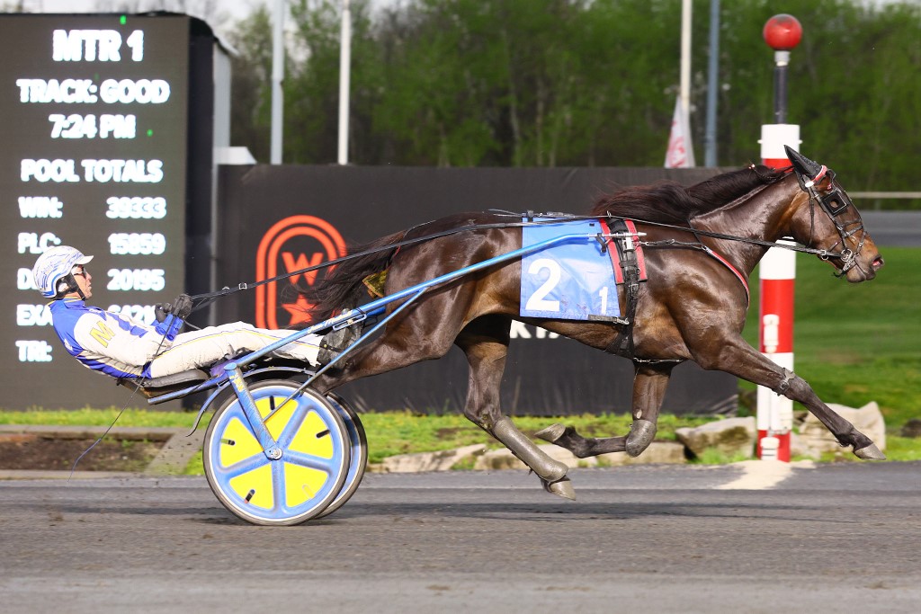 Willys Home Run winning an SBOA Stakes elimination. (New Image Media)