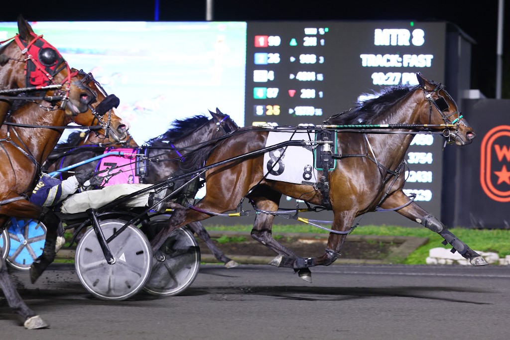 Sorcha Seelster (#8) winning an SBOA Stakes elimination. (New Image Media)