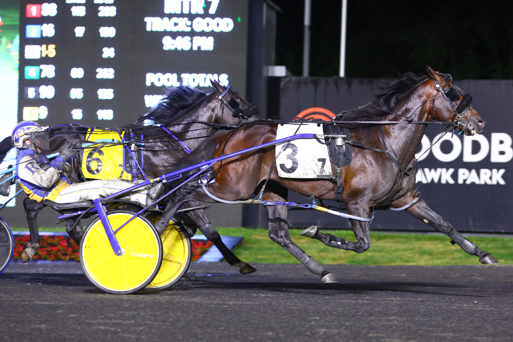 Nijinsky and driver Louis-Philippe Roy winning the third Pepsi North America Cup elimination on June 8, 2024 at Woodbine Mohawk Park (New Image Media)