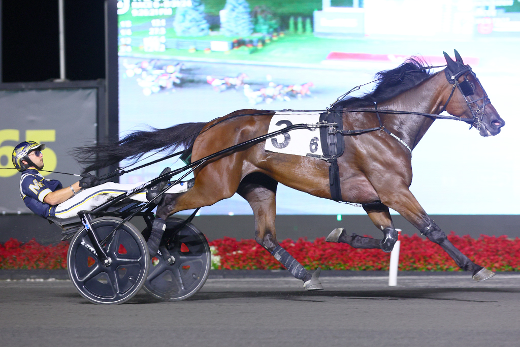 Highland Kismet and driver Bob McClure winning the Simcoe Stakes for 3-year-olds on August 31, 2024 (New Image Media)