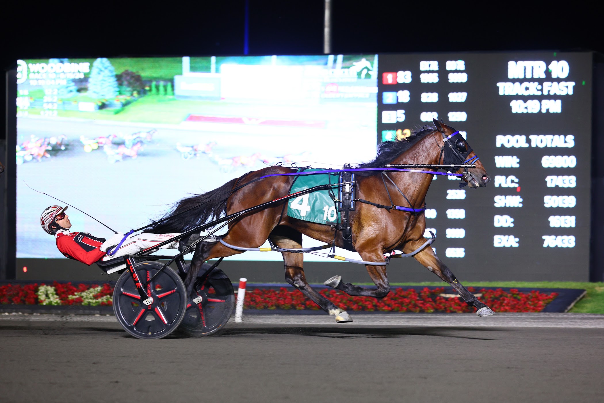 Twin B Joe Fresh winning the 2024 Roses Are Red Stakes on June 15 at Woodbine Mohawk Park. (New Image Media)