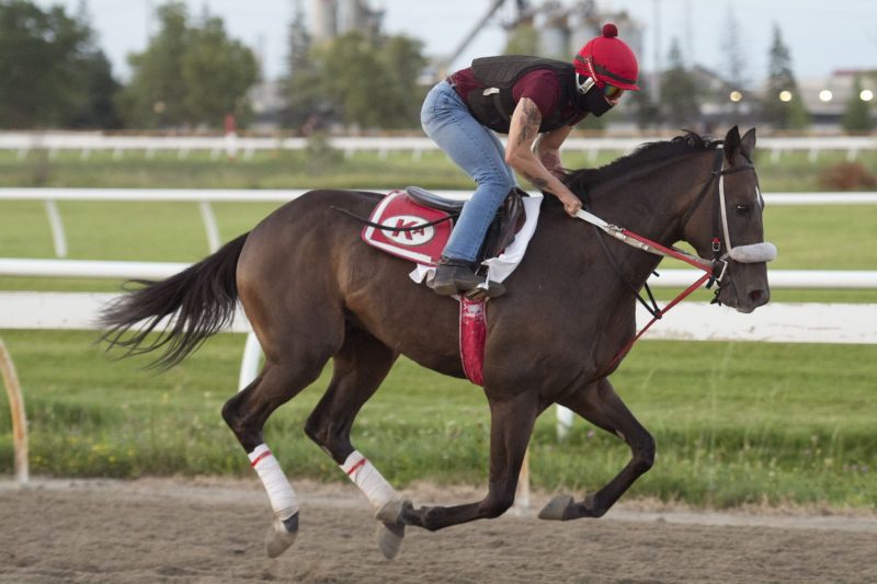 H C Holiday will look to give owner Ivan Dalos his first Queen's Plate victory.
